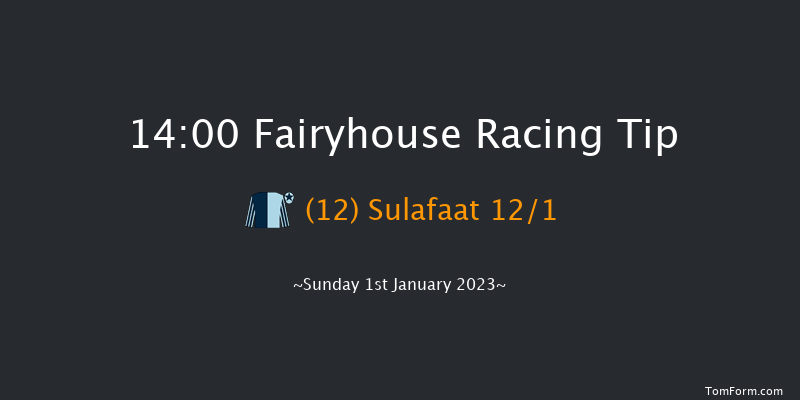 Fairyhouse 14:00 Handicap Hurdle 24f Wed 21st Dec 2022