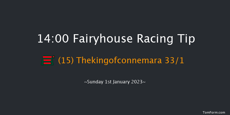Fairyhouse 14:00 Handicap Hurdle 24f Wed 21st Dec 2022