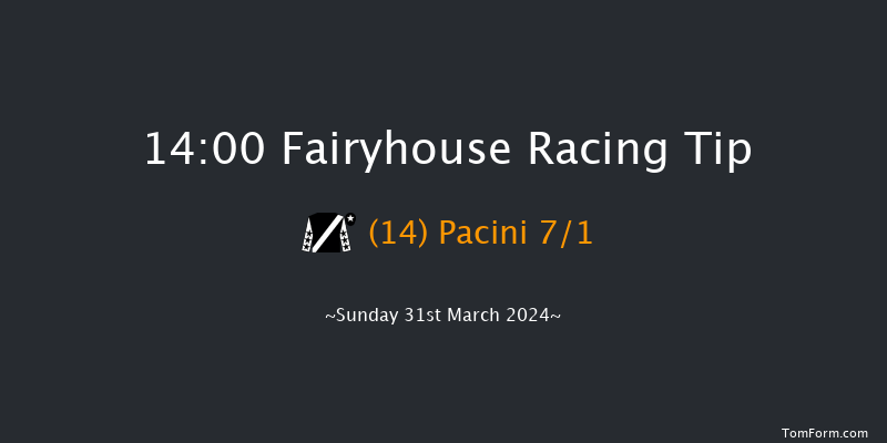 Fairyhouse  14:00 Handicap Hurdle 20f Sat 30th Mar 2024