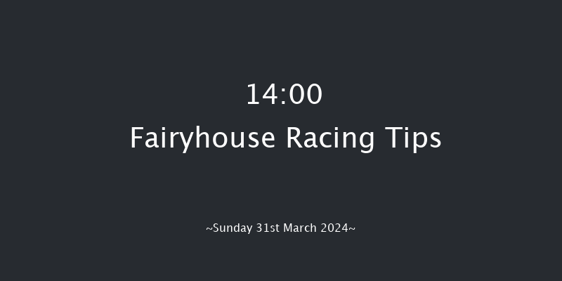 Fairyhouse  14:00 Handicap Hurdle 20f Sat 30th Mar 2024
