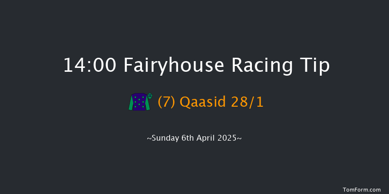 Fairyhouse 14-00 20f Sat 22nd Feb 2025