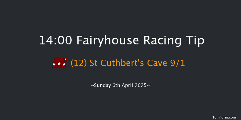 Fairyhouse 14-00 20f Sat 22nd Feb 2025