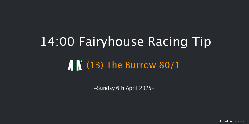 Fairyhouse 14-00 20f Sat 22nd Feb 2025