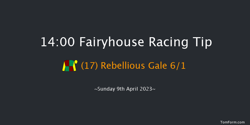 Fairyhouse 14:00 Handicap Hurdle 20f Sat 8th Apr 2023