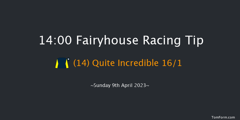 Fairyhouse 14:00 Handicap Hurdle 20f Sat 8th Apr 2023