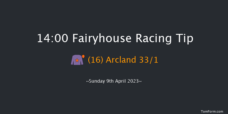 Fairyhouse 14:00 Handicap Hurdle 20f Sat 8th Apr 2023