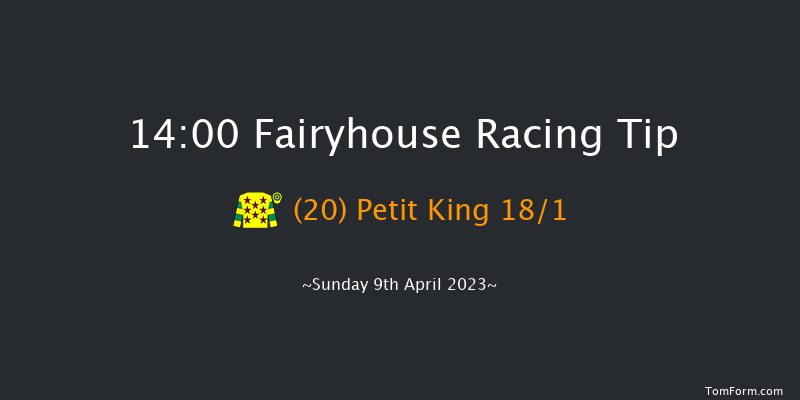 Fairyhouse 14:00 Handicap Hurdle 20f Sat 8th Apr 2023