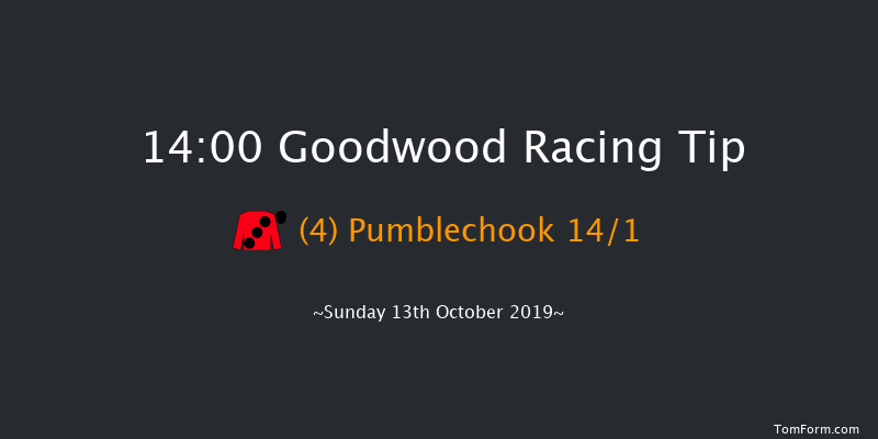 Goodwood 14:00 Handicap (Class 4) 16f Wed 25th Sep 2019