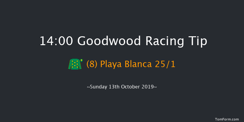 Goodwood 14:00 Handicap (Class 4) 16f Wed 25th Sep 2019