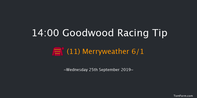 Goodwood 14:00 Maiden (Class 2) 10f Tue 3rd Sep 2019