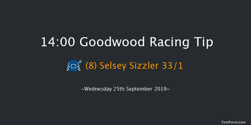 Goodwood 14:00 Maiden (Class 2) 10f Tue 3rd Sep 2019