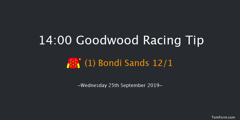 Goodwood 14:00 Maiden (Class 2) 10f Tue 3rd Sep 2019