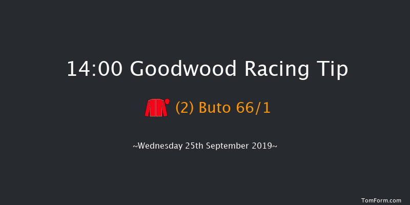 Goodwood 14:00 Maiden (Class 2) 10f Tue 3rd Sep 2019