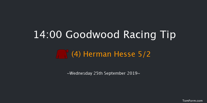 Goodwood 14:00 Maiden (Class 2) 10f Tue 3rd Sep 2019