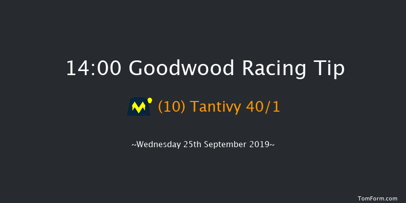 Goodwood 14:00 Maiden (Class 2) 10f Tue 3rd Sep 2019