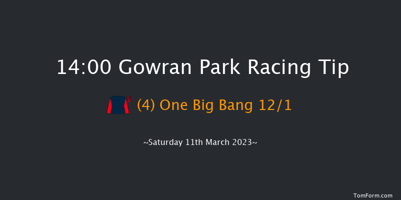 Gowran Park 14:00 Maiden Hurdle 16f Sat 18th Feb 2023