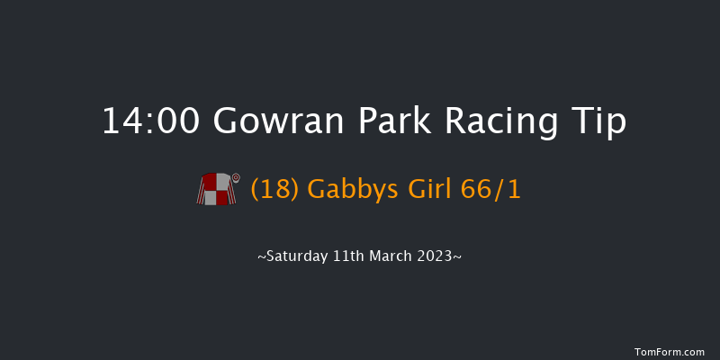 Gowran Park 14:00 Maiden Hurdle 16f Sat 18th Feb 2023