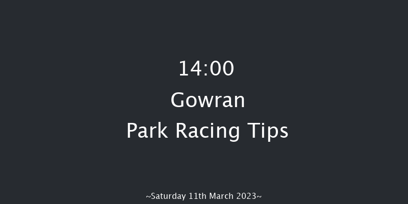 Gowran Park 14:00 Maiden Hurdle 16f Sat 18th Feb 2023