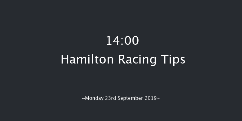 Hamilton 14:00 Stakes (Class 4) 6f Sun 22nd Sep 2019