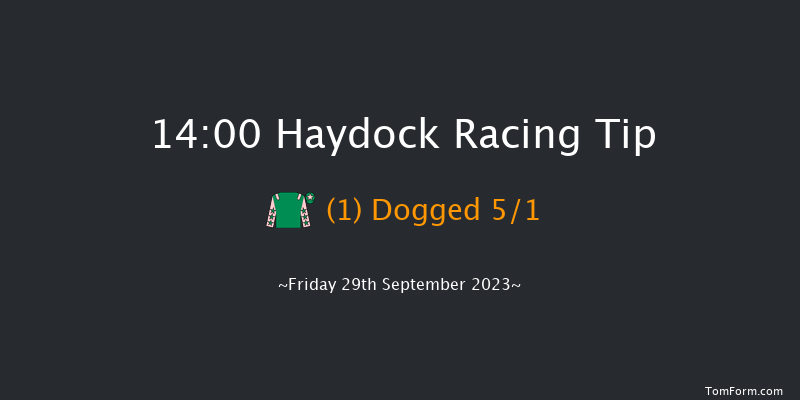 Haydock 14:00 Handicap (Class 5) 10f Sat 9th Sep 2023