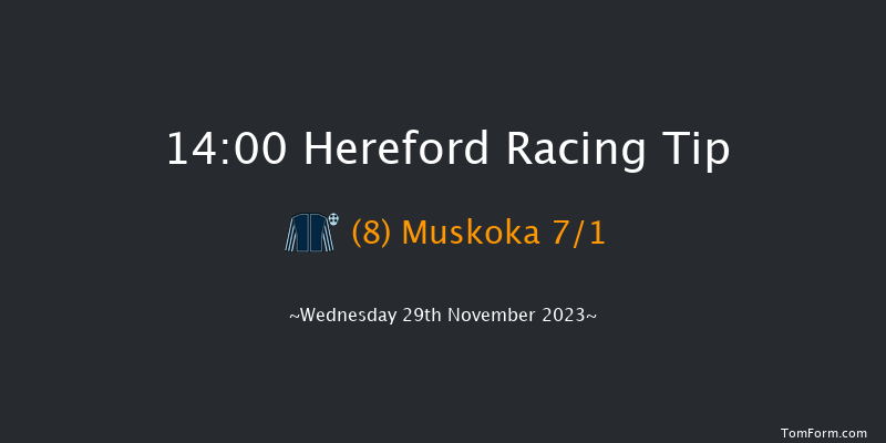 Hereford 14:00 Maiden Hurdle (Class 4) 16f Tue 21st Nov 2023