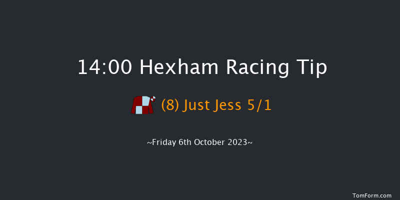Hexham 14:00 Handicap Hurdle (Class 4) 20f Wed 6th Sep 2023