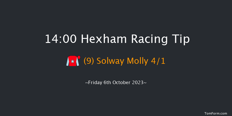 Hexham 14:00 Handicap Hurdle (Class 4) 20f Wed 6th Sep 2023