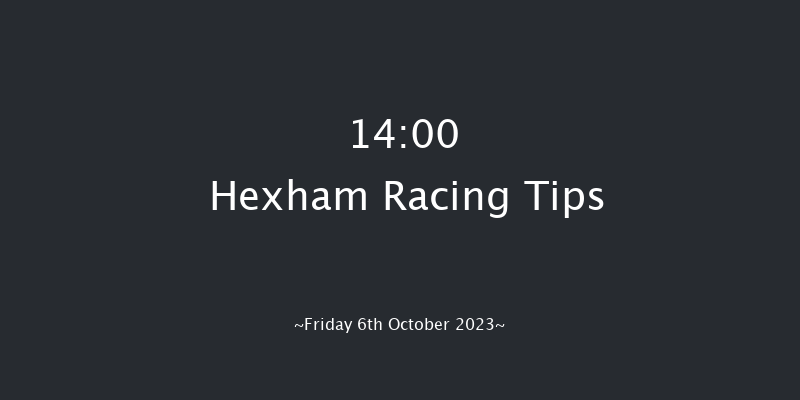 Hexham 14:00 Handicap Hurdle (Class 4) 20f Wed 6th Sep 2023