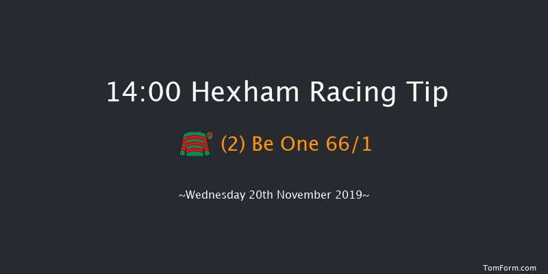 Hexham 14:00 Maiden Hurdle (Class 4) 20f Fri 8th Nov 2019