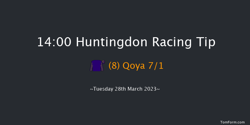 Huntingdon 14:00 Conditions Hurdle (Class 4) 16f Wed 15th Mar 2023