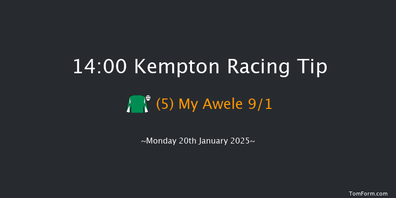 Kempton  14:00 Handicap (Class 4) 6f Wed 15th Jan 2025