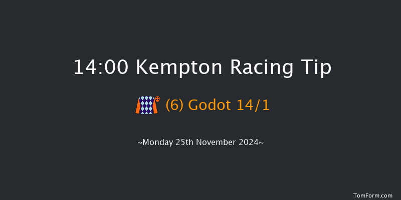 Kempton  14:00 Handicap Hurdle (Class 4) 24f Wed 20th Nov 2024