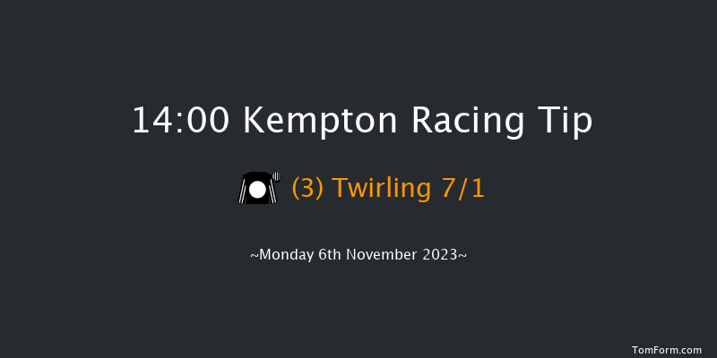 Kempton 14:00 Stakes (Class 4) 8f Wed 1st Nov 2023
