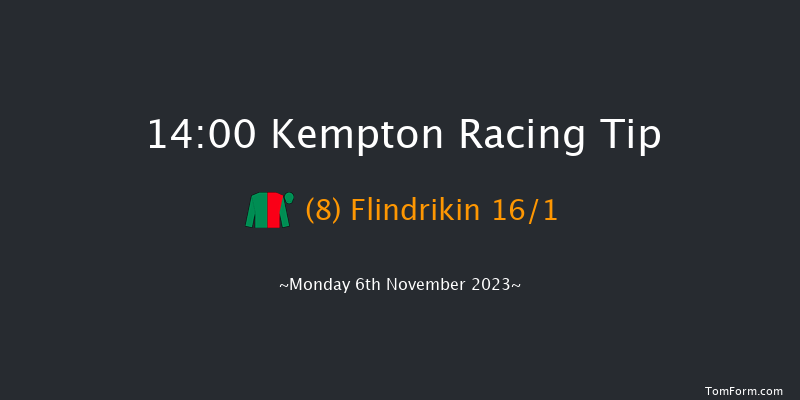 Kempton 14:00 Stakes (Class 4) 8f Wed 1st Nov 2023