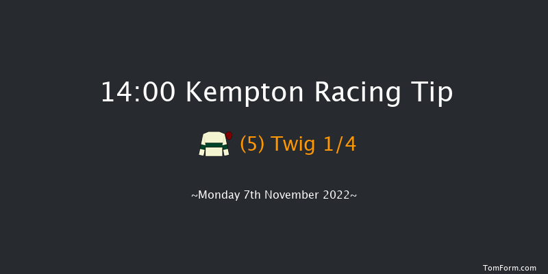 Kempton 14:00 Maiden Hurdle (Class 4) 21f Wed 2nd Nov 2022