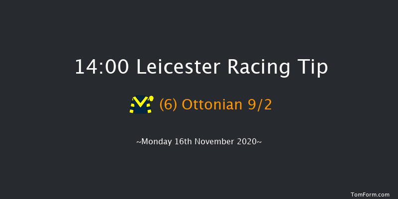 Joules Clothing Novices' Hurdle (GBB Race) Leicester 14:00 Maiden Hurdle (Class 3) 16f Mon 26th Oct 2020