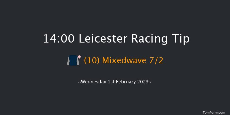 Leicester 14:00 Handicap Chase (Class 5) 23f Wed 28th Dec 2022
