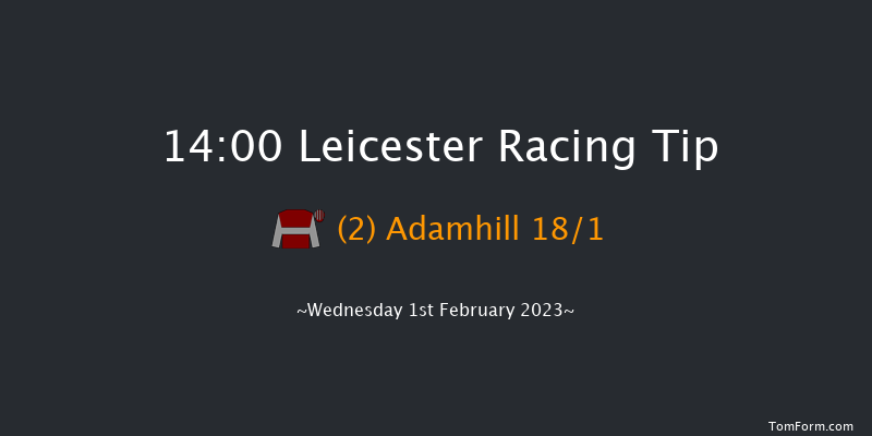 Leicester 14:00 Handicap Chase (Class 5) 23f Wed 28th Dec 2022