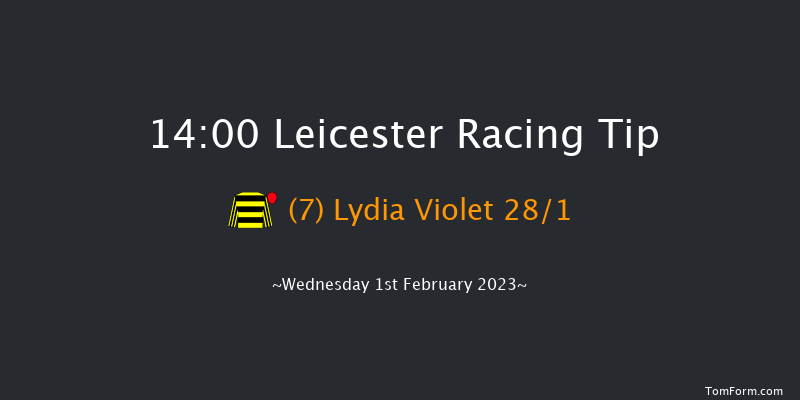 Leicester 14:00 Handicap Chase (Class 5) 23f Wed 28th Dec 2022