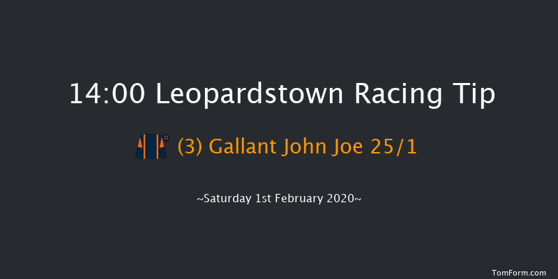 Leopardstown 14:00 Novices Chase 17f Sun 29th Dec 2019