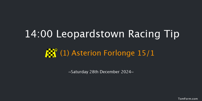 Leopardstown  14:00 Conditions Hurdle 23f Fri 27th Dec 2024