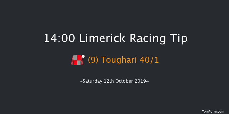 Limerick 14:00 Maiden 7f Sun 7th Jul 2019