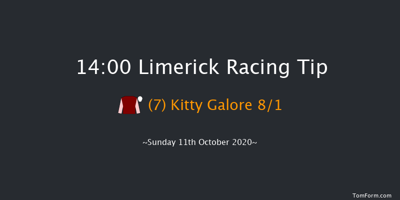 Irish Racing Wall Calendar 2021 Mares Handicap Hurdle Limerick 14:00 Handicap Hurdle 16f Sat 10th Oct 2020