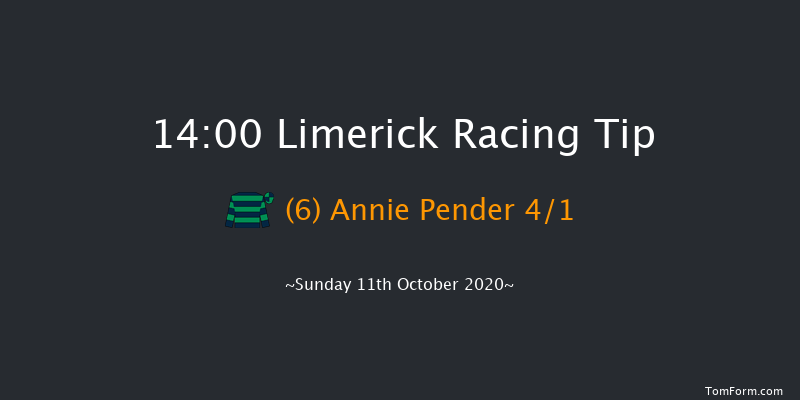 Irish Racing Wall Calendar 2021 Mares Handicap Hurdle Limerick 14:00 Handicap Hurdle 16f Sat 10th Oct 2020