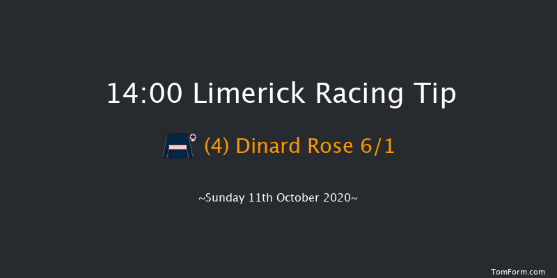 Irish Racing Wall Calendar 2021 Mares Handicap Hurdle Limerick 14:00 Handicap Hurdle 16f Sat 10th Oct 2020
