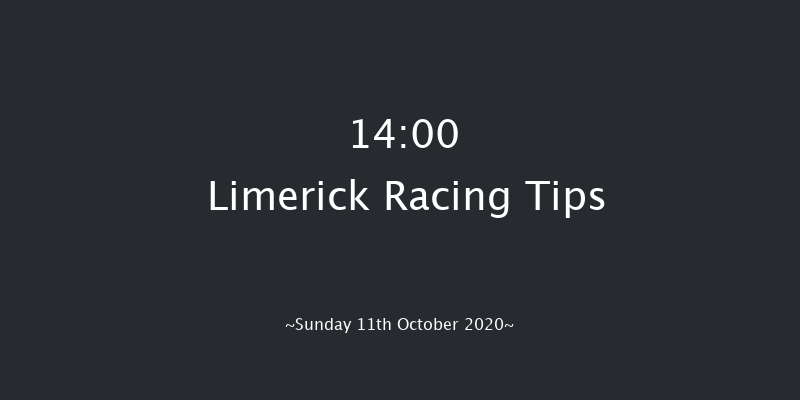 Irish Racing Wall Calendar 2021 Mares Handicap Hurdle Limerick 14:00 Handicap Hurdle 16f Sat 10th Oct 2020