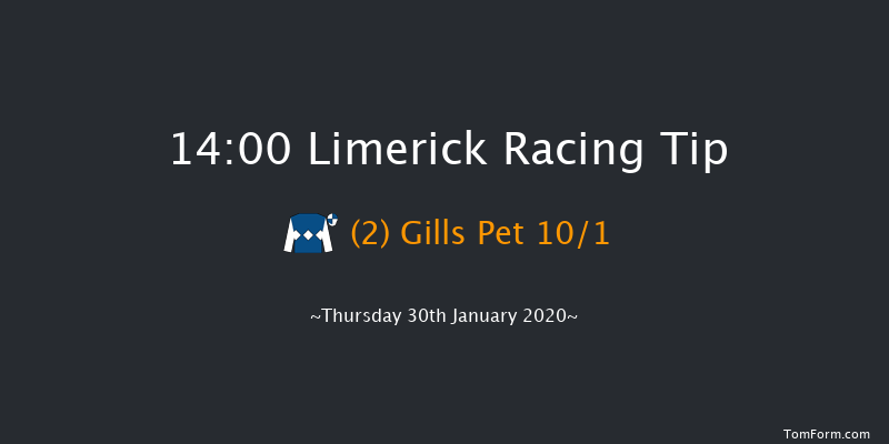 Limerick 14:00 Maiden Hurdle 21f Sun 29th Dec 2019