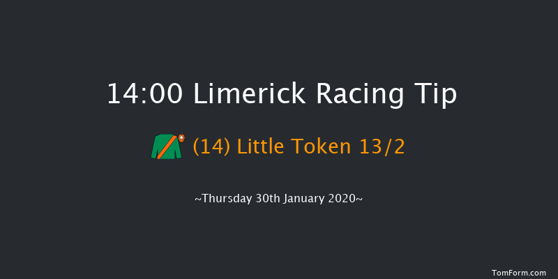 Limerick 14:00 Maiden Hurdle 21f Sun 29th Dec 2019