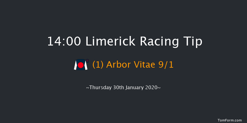 Limerick 14:00 Maiden Hurdle 21f Sun 29th Dec 2019