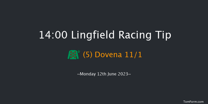 Lingfield 14:00 Handicap (Class 6) 12f Sat 10th Jun 2023